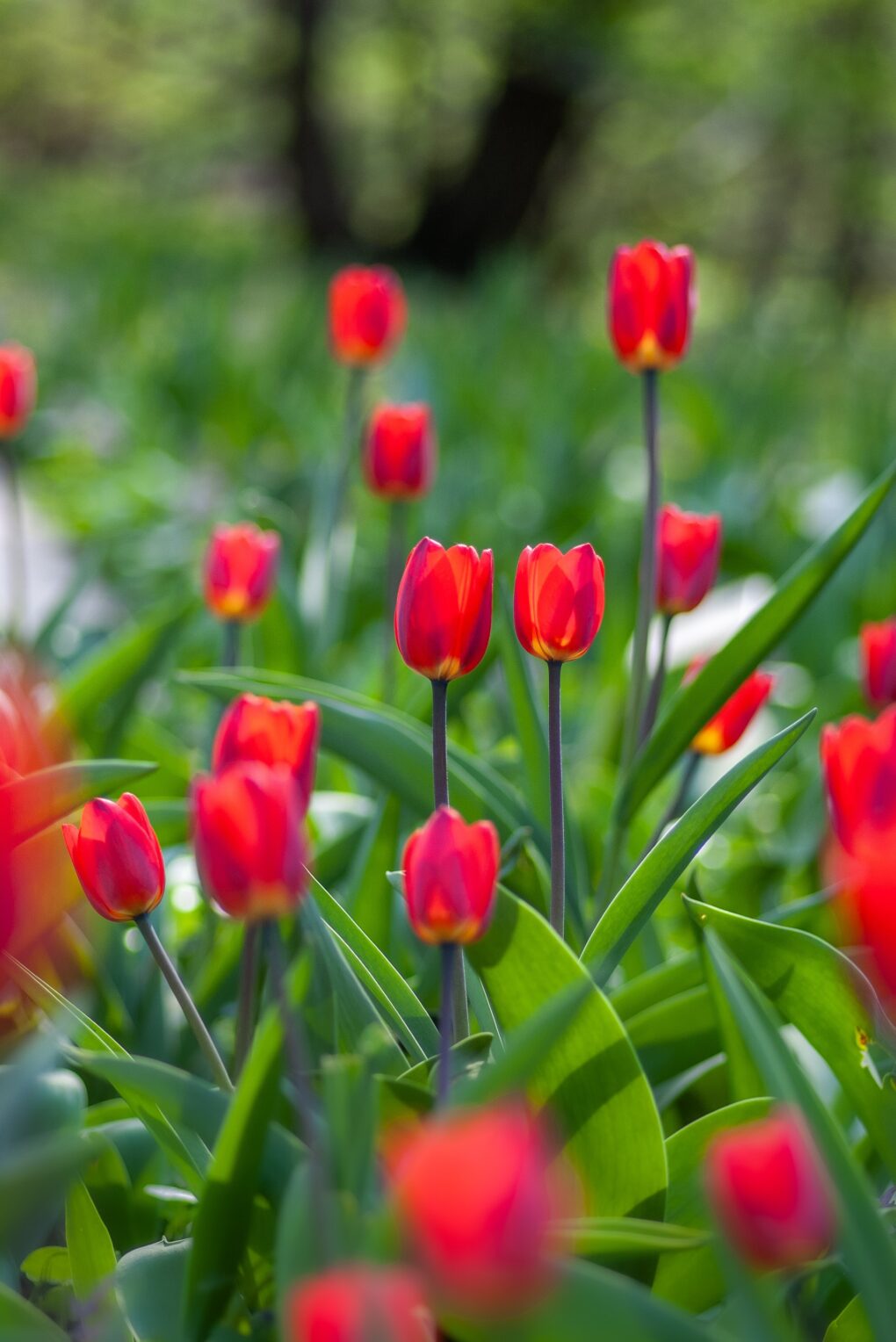 Tax update April 2025 | Positive Accountants York